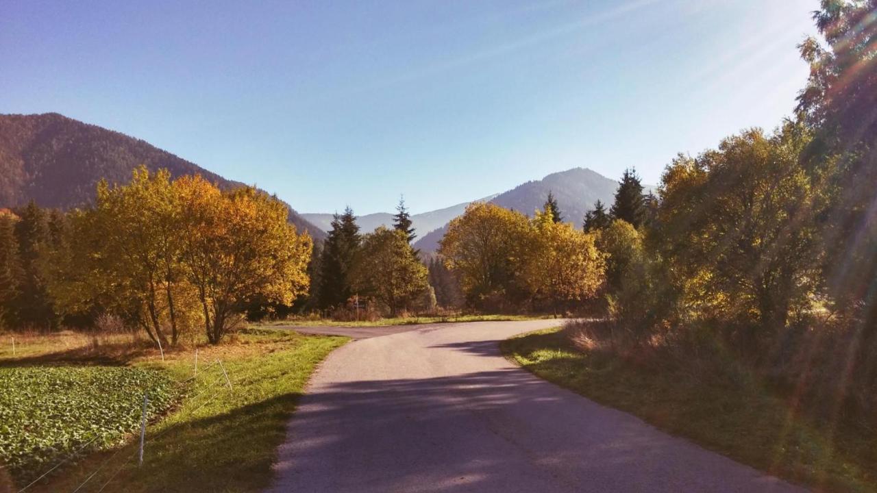 Penzion Mlynarov Dvor Dubrava エクステリア 写真