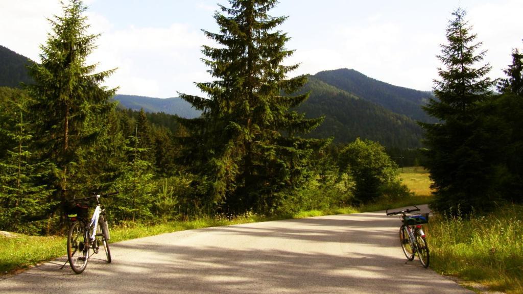 Penzion Mlynarov Dvor Dubrava エクステリア 写真