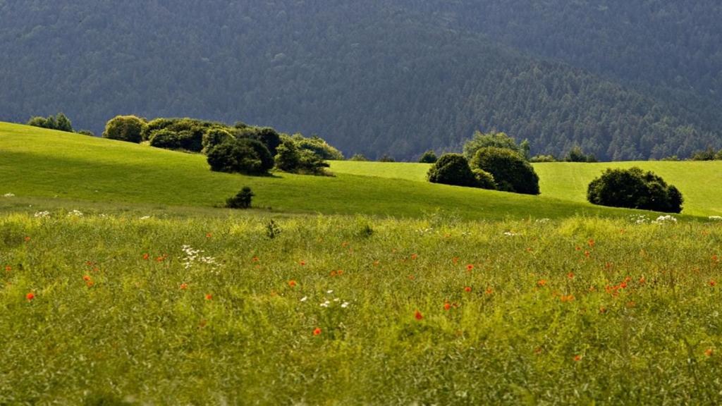 Penzion Mlynarov Dvor Dubrava エクステリア 写真