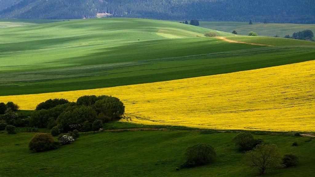 Penzion Mlynarov Dvor Dubrava エクステリア 写真